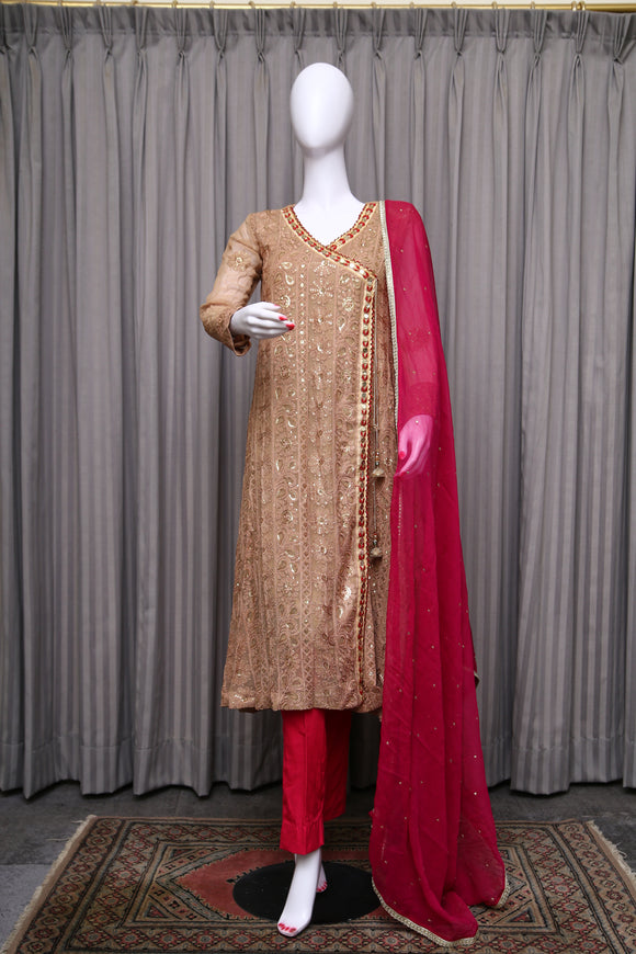 Chiffon-Georgette Suit with Chikankari Work - tops